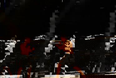 MMA - Mixed Martial Arts